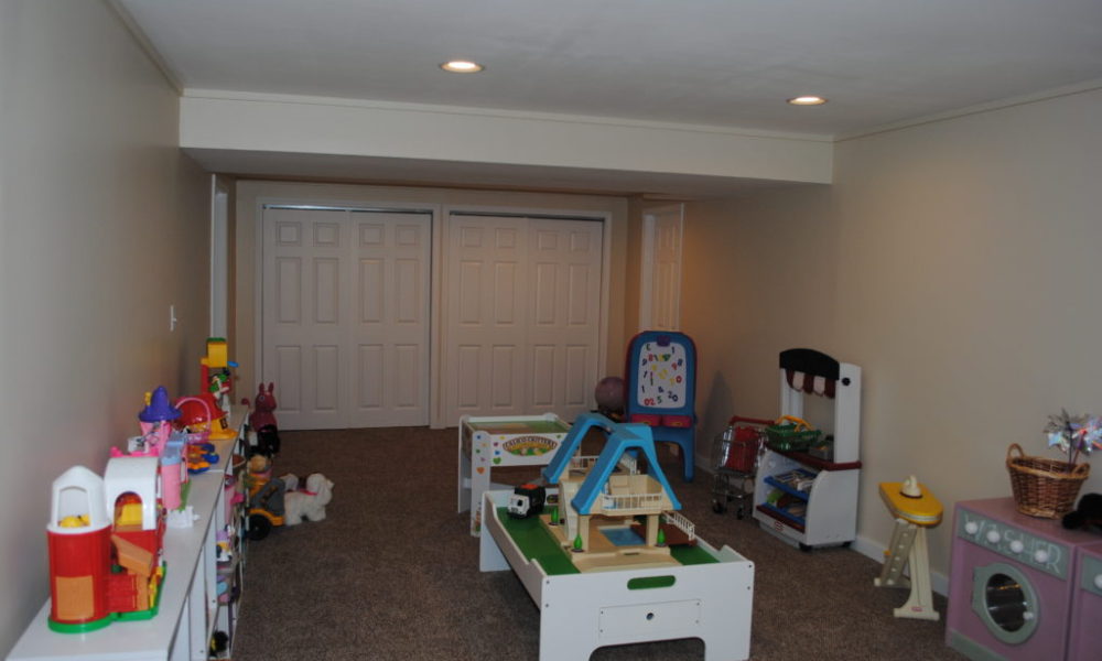 Basement Remodel